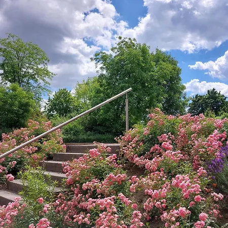 Hotel Heinrich Pesch 3*