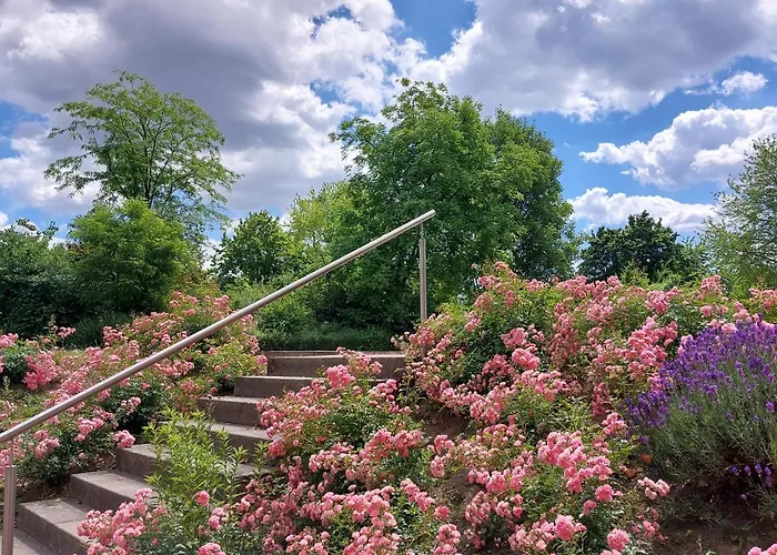 Hotel Heinrich Pesch 3*