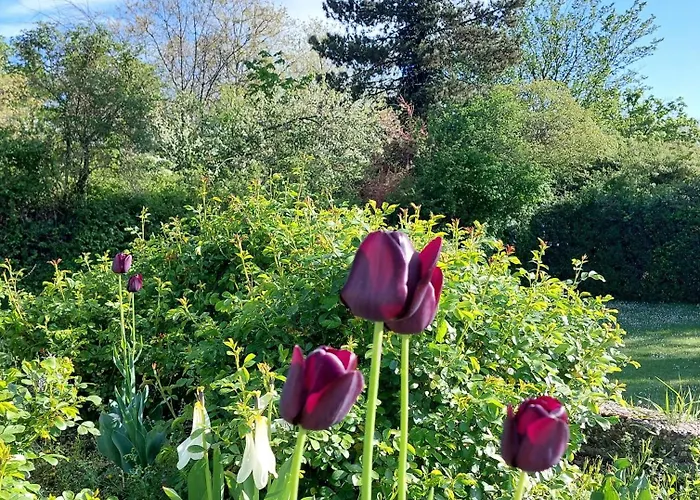 Heinrich Pesch Ludwigshafen am Rhein